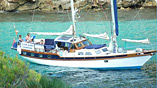 Boat Trips in Majorca (Mallorca). Puerto Pollensa.