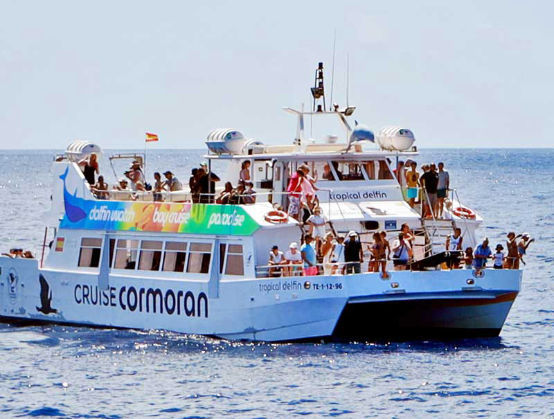 Cruise Cormoran Cruise Cormoran