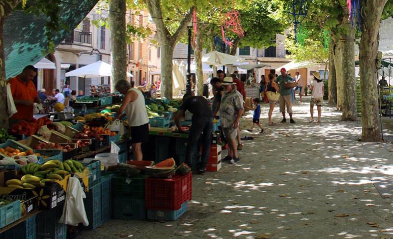 Binissalem Market Binissalem Market