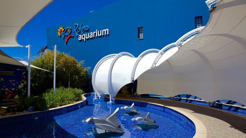 Palma Aquarium Palma Aquarium