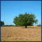Advertise your property for rent in Majorcanvillas.com