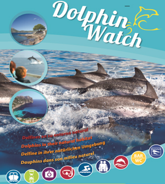 Dolphin Watch