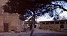 Palma Museums :: Pilar and Joan Miro Foundation