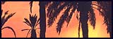 Majorca (Mallorca), Pto Alcudia