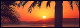 Majorca (Mallorca), Pto Alcudia
