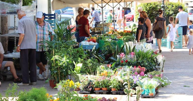 Campos Market