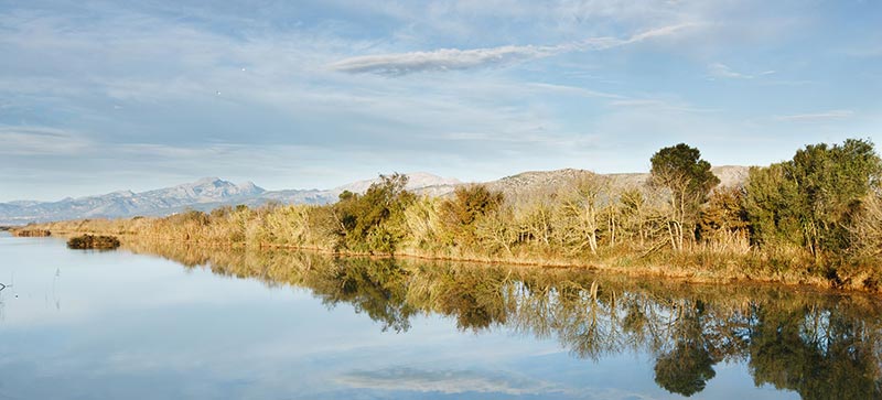 Nature Park S’Albufera de Mallorca